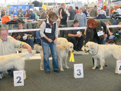 CACIB Rostock 07.10.06