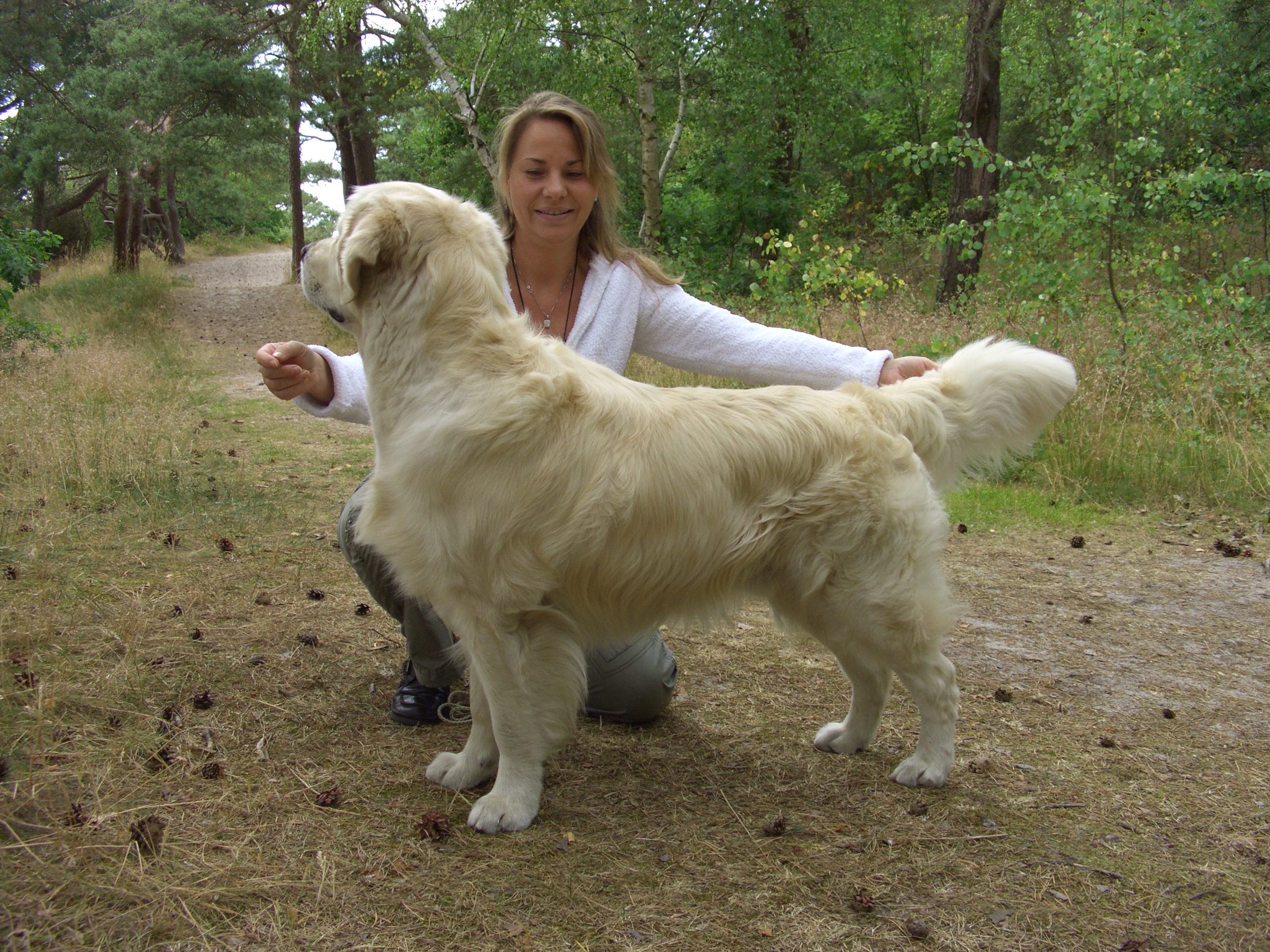 Bendley in Dierhagen