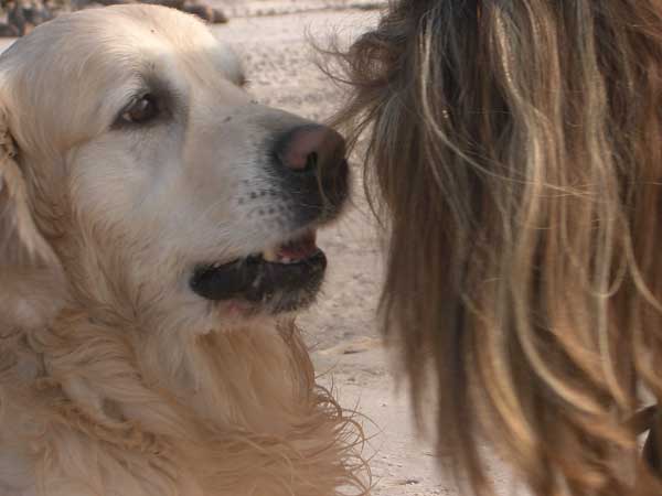 Das flüstert mir einer was ins Ohr :-))