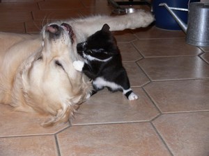 Bendley und unsere Püppi