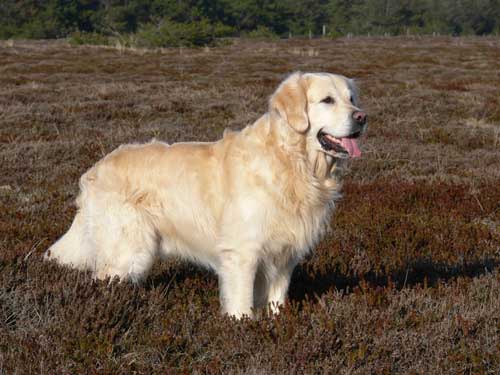 Dänemark April 2009